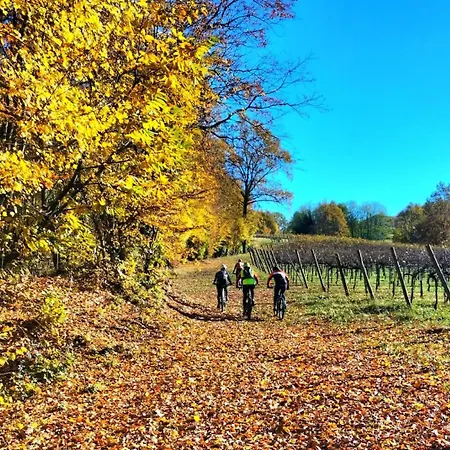I Sassi Della Piave * Susegana